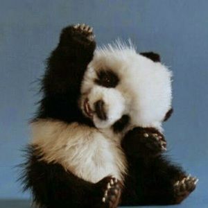 Meet your Posher, Shachar